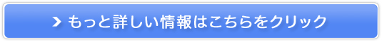 G[ fB[XGXeT̔TCg